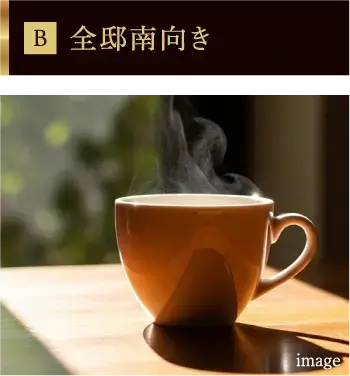 全邸南向き