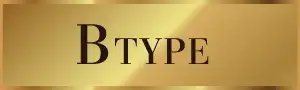 B TYPE