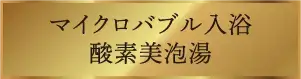マイクロバブル入浴酸素美泡湯